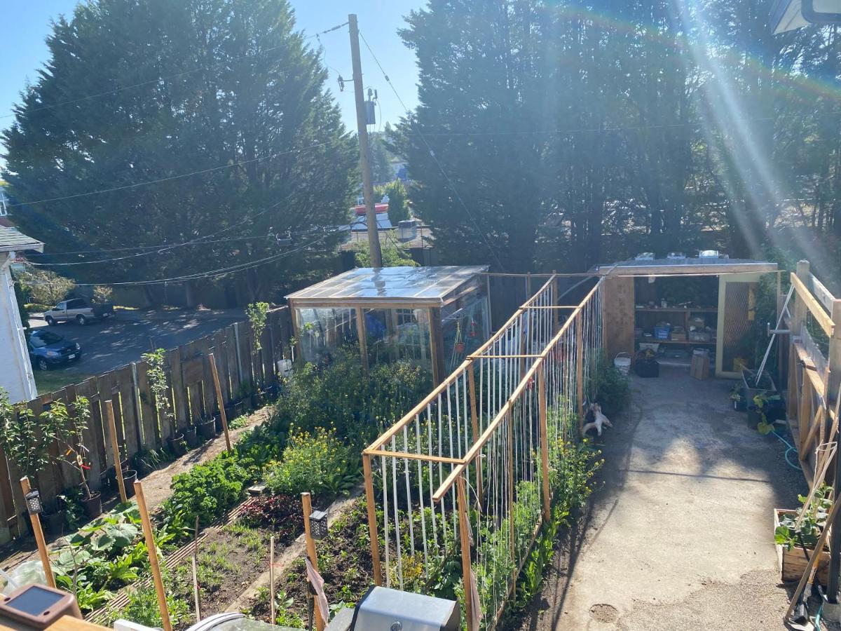 Hudson Homes Bnb 빅토리아 외부 사진